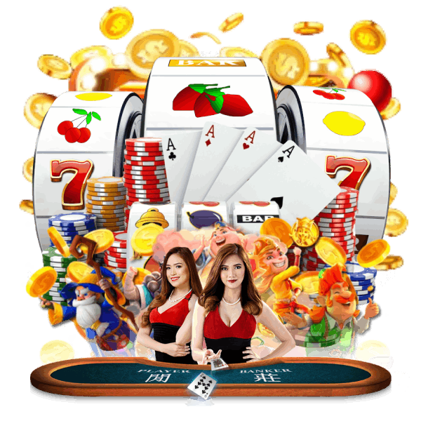 allin99my เว็บใหม่ล่าสุด ตอบโจทย์นักเดิมพัน